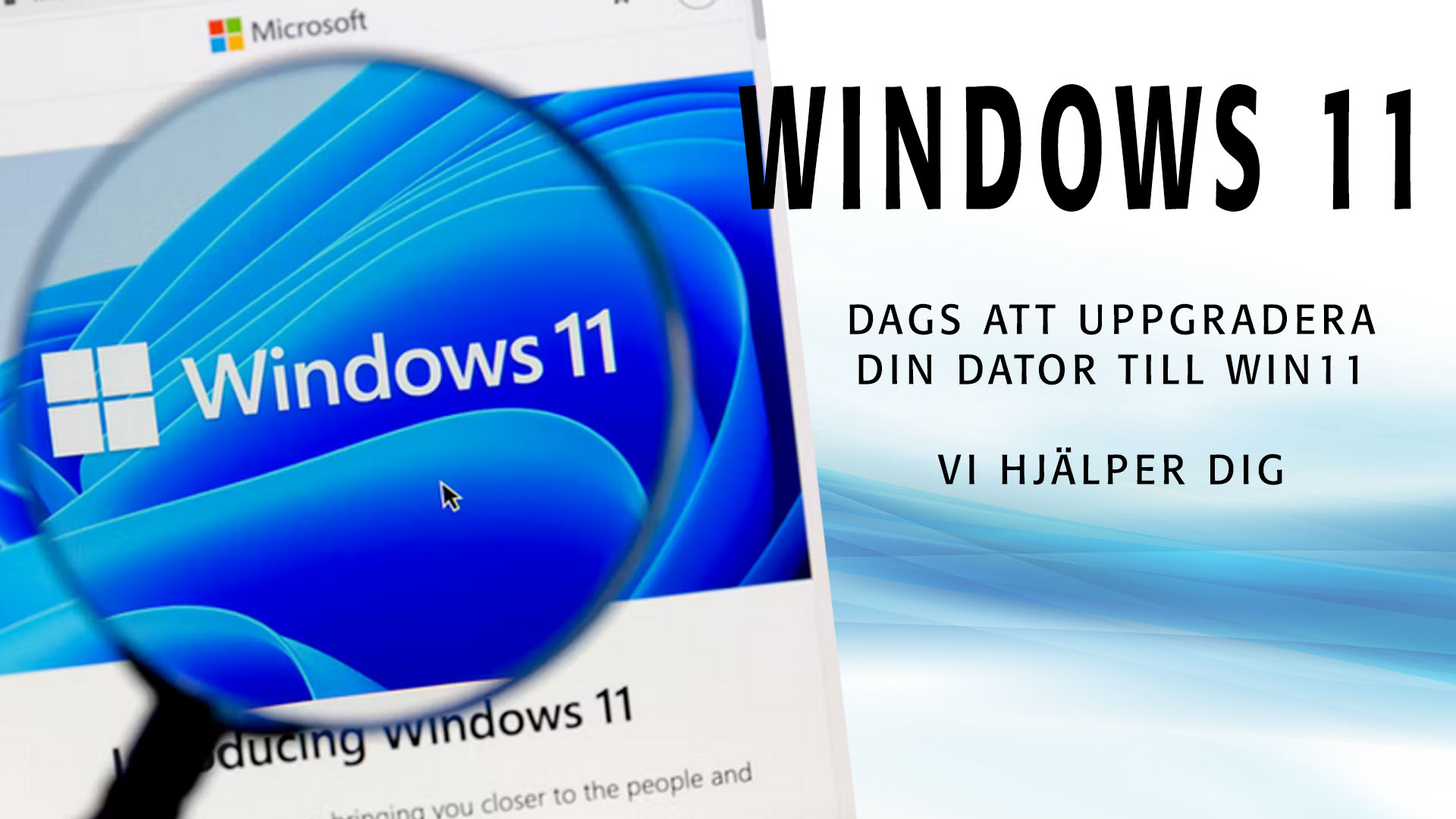 Windows 11