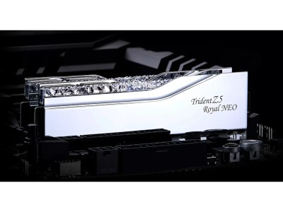 32 GB (2x16GB) DDR5-8000 G.Skill Trident Z5 Royal Neo RGB Silver CL38, AMD EXPO#4