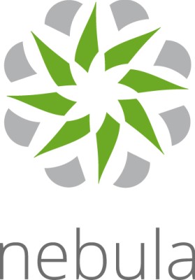 Zyxel Nebula Professional Pack License (Per enhet), 1 år / per enhet