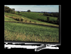 65" Samsung QE65Q60BAU 4K QLED-TV#2